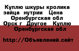 Куплю шкуры кролика, зайца, нутрии › Цена ­ 1 - Оренбургская обл., Орск г. Другое » Куплю   . Оренбургская обл.